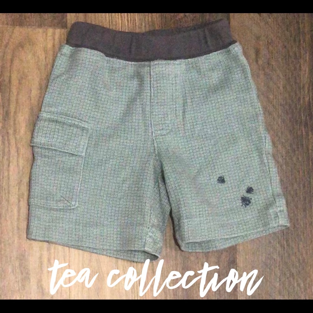 Boy’s Tea Collection Fly Shorts